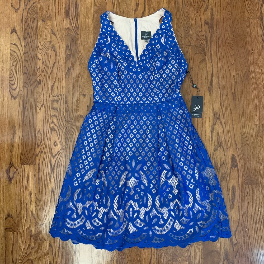 Adrianna Papell 
Blue Lace fit and flare dress